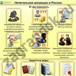 Россия: правила въезда, пребывания, прохождения таможни для граждан СНГ и дальнего зарубежья