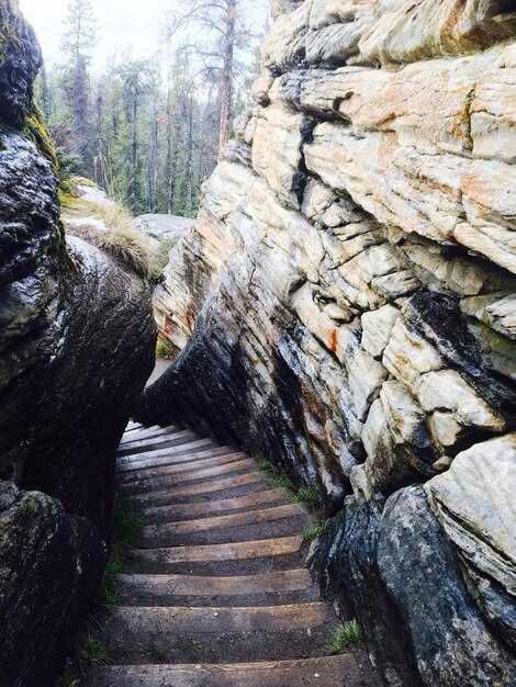 Королевская тропа в Швеции: Путешествие по природе