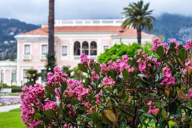 Питание и разнообразие блюд в ресторане Lonicera Premium 4