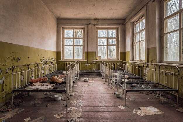 Влияние квартиры Рихтера на современное искусство и культуру